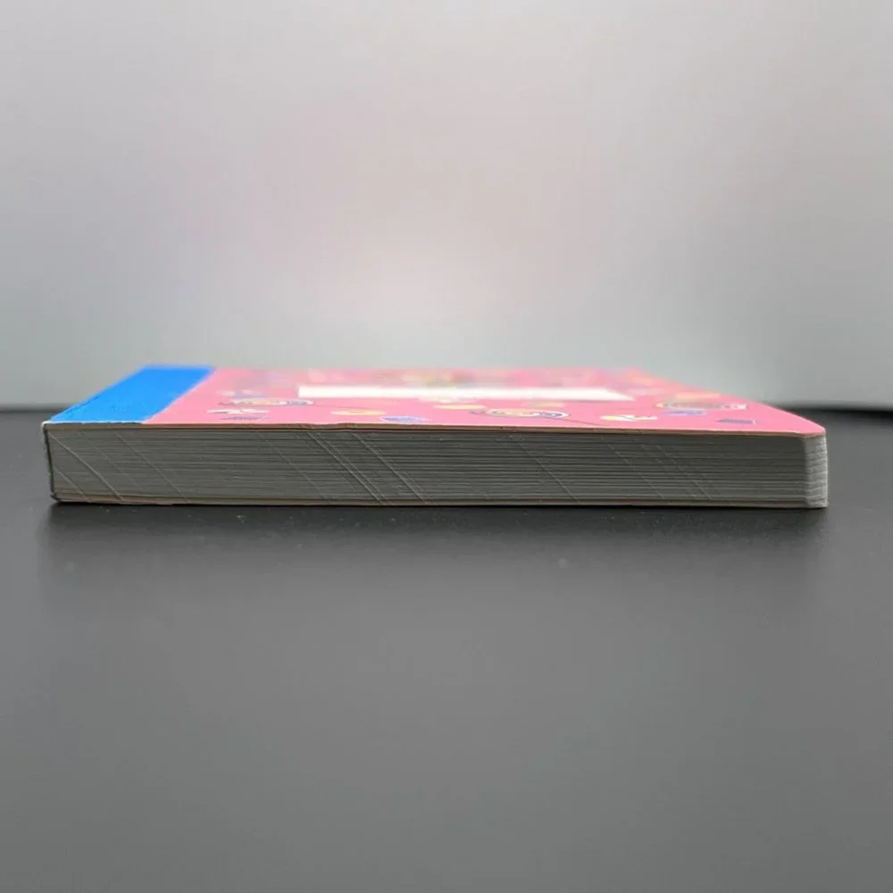 Lisa Frank Candy Girl Mini Composition Book 4.5